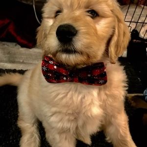 Meet your Posher, Keri